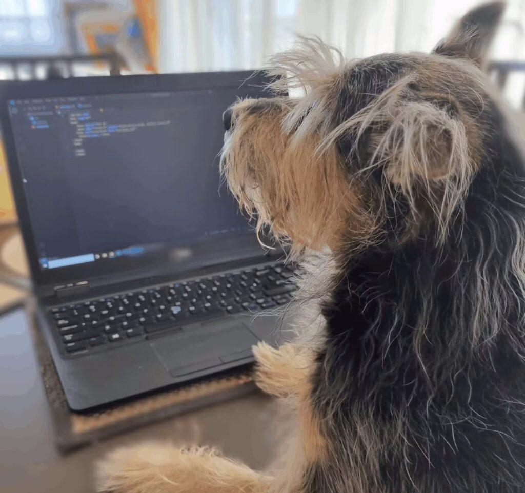 Laptop z kodem i pies